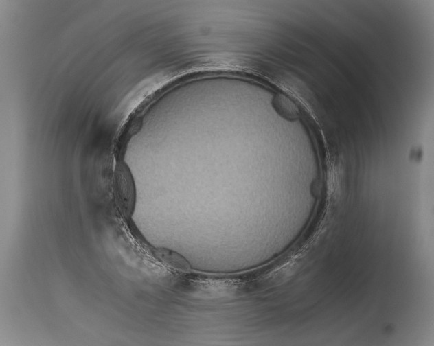 X0000115410781200911171358