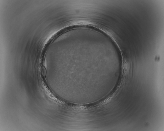 X0000115410783200911171358