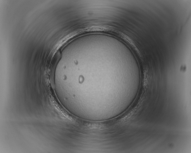 X0000115410786200911171358