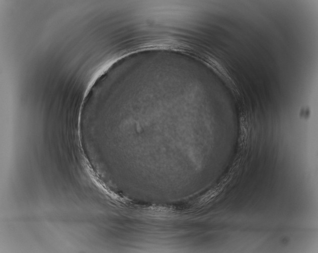X0000115410788200911171358