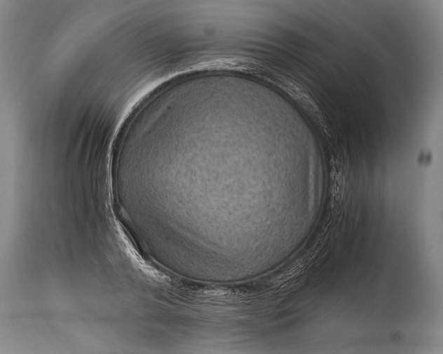 X0000115410792200911171358