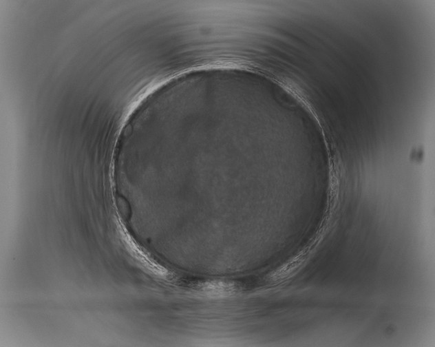 X0000115410797200911171358