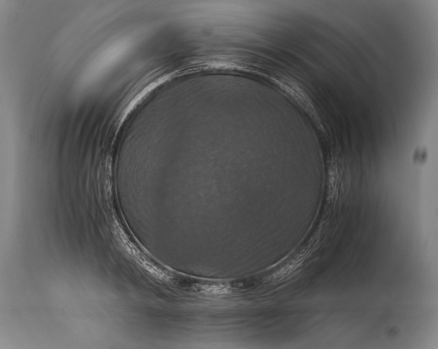 X0000115410798200911171358