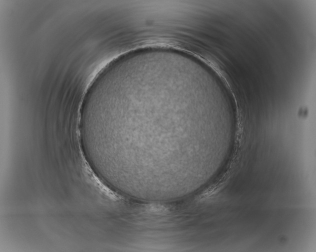 X0000115410799200911171358