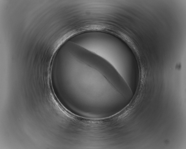 X0000115410802200911171358