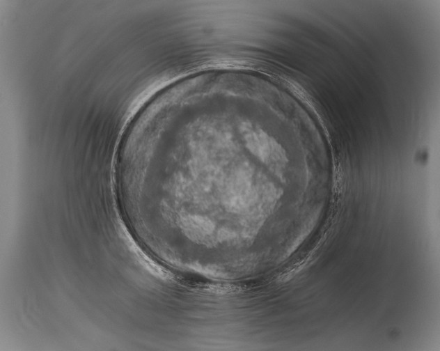X0000115410803200911171358