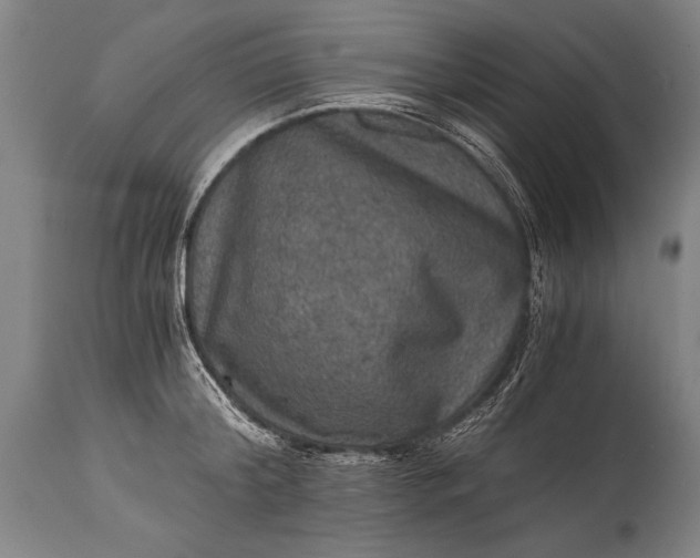 X0000115410804200911171358