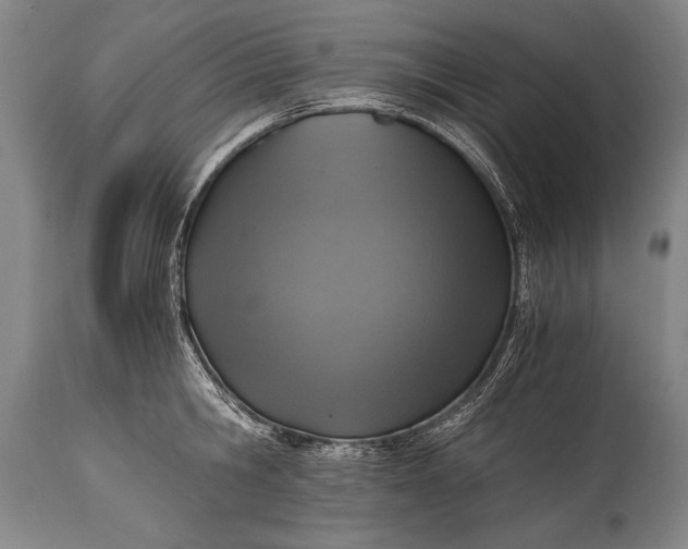 X0000115410806200911171358