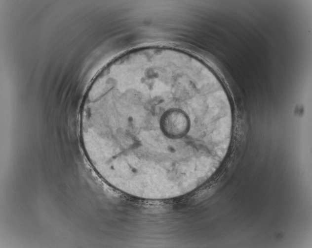 X0000115410807200911171358
