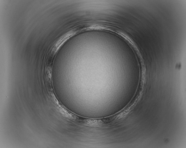 X0000115410809200911171358