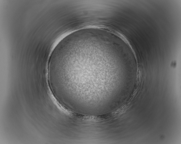 X0000115410811200911171358