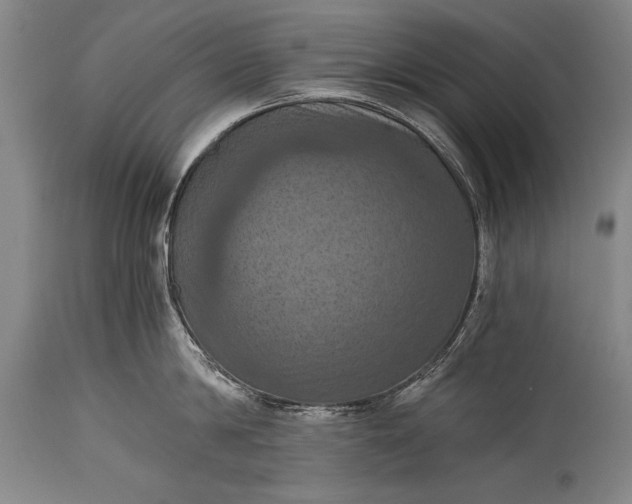 X0000115410814200911171358