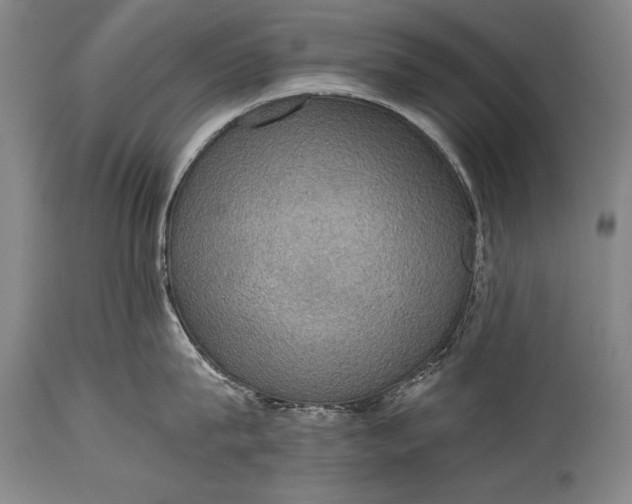 X0000115410815200911171358