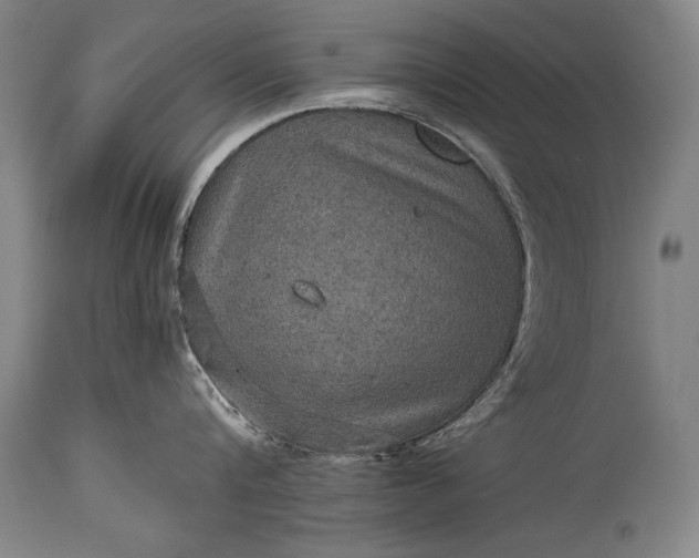 X0000115410816200911171358