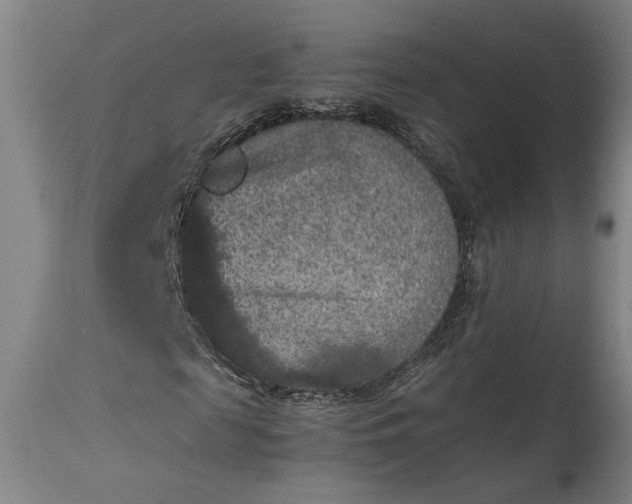 X0000115410817200911171357