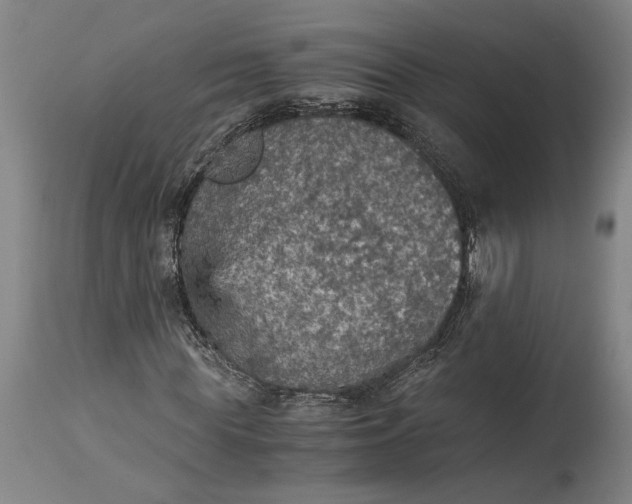 X0000115410819200911171357