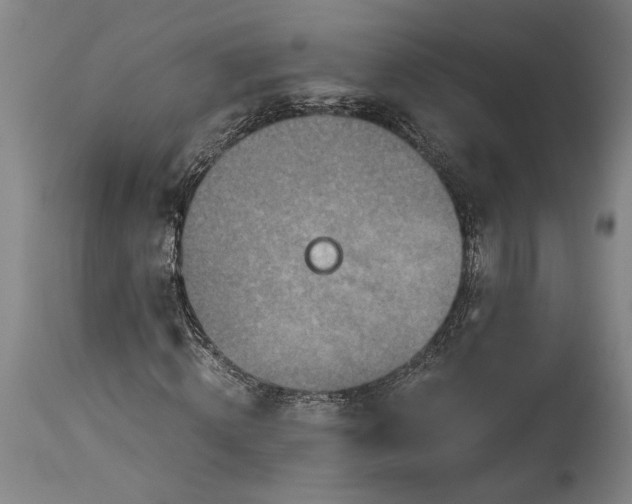 X0000115410820200911171357