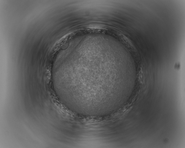 X0000115410821200911171357