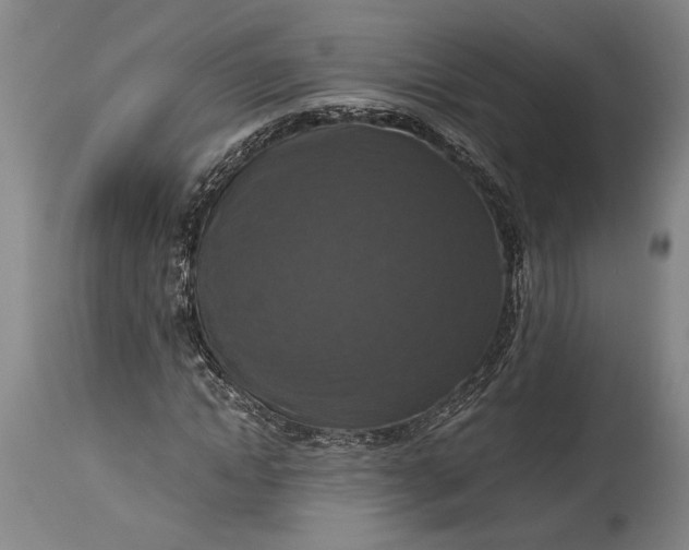 X0000115410822200911171357