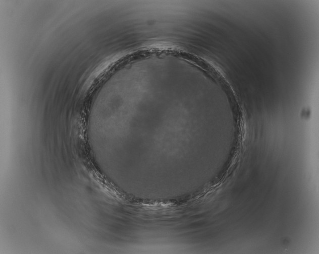 X0000115410823200911171357