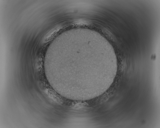 X0000115410824200911171357