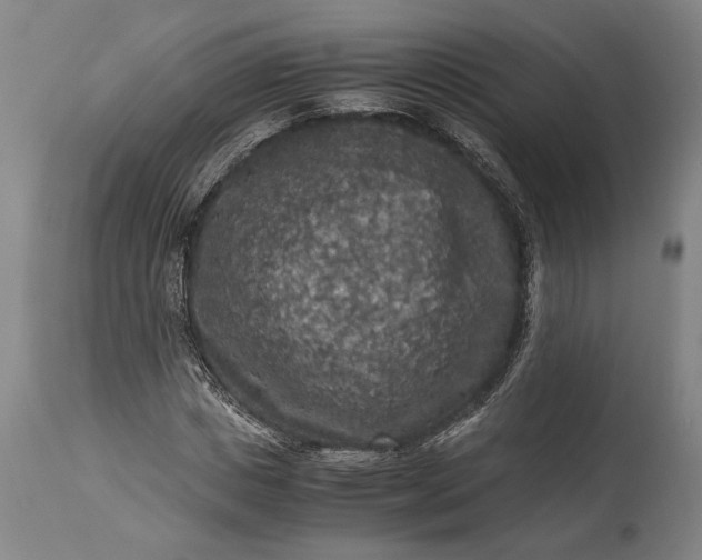 X0000115410825200911171357