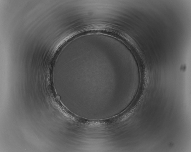 X0000115410826200911171357