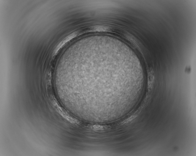 X0000115410827200911171357