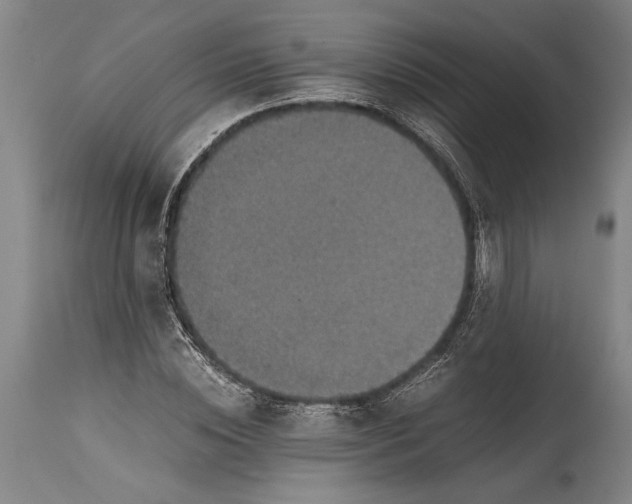 X0000115410828200911171357