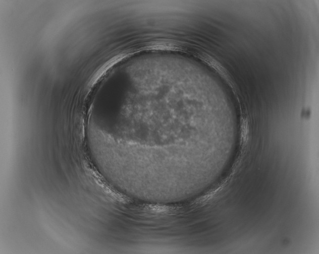 X0000115410829200911171357