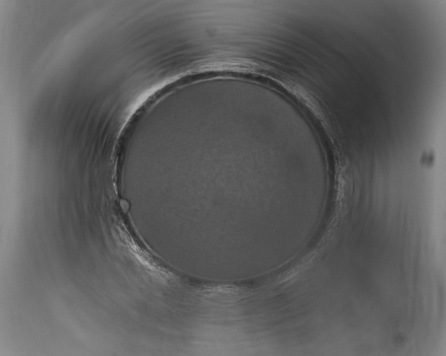 X0000115410830200911171357