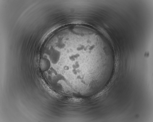 X0000115410831200911171357