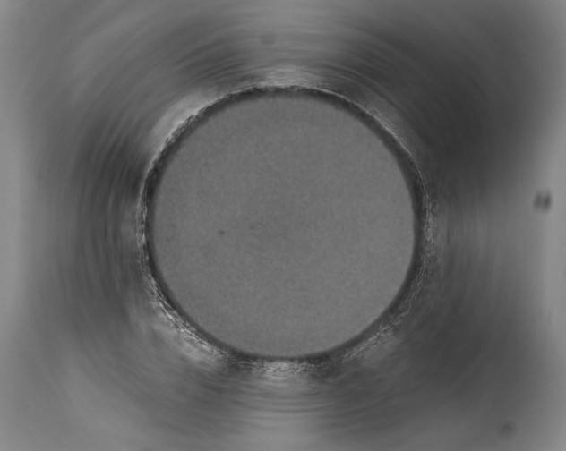 X0000115410832200911171357