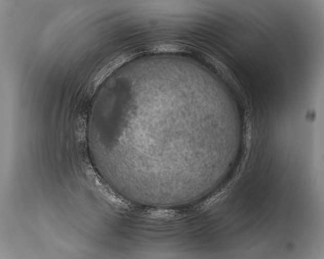 X0000115410833200911171357