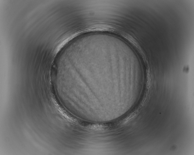 X0000115410834200911171357