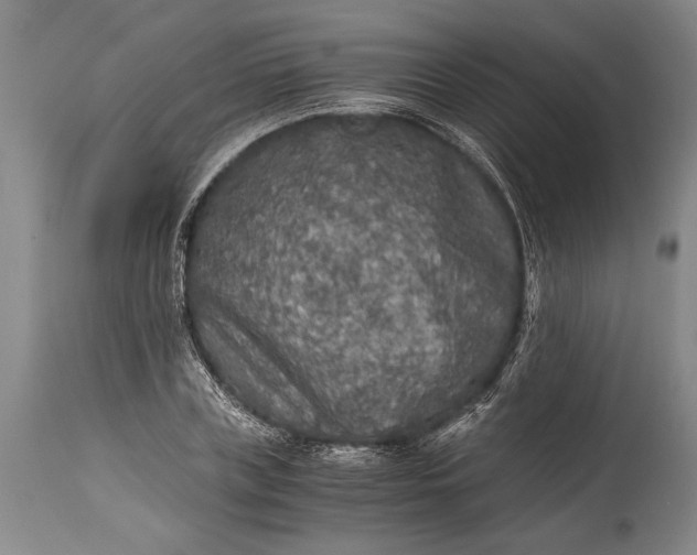 X0000115410835200911171357