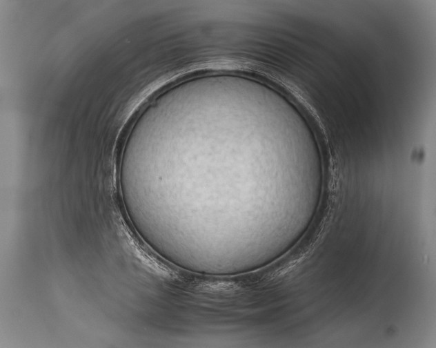 X0000115410837200911171357