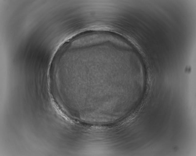 X0000115410840200911171357