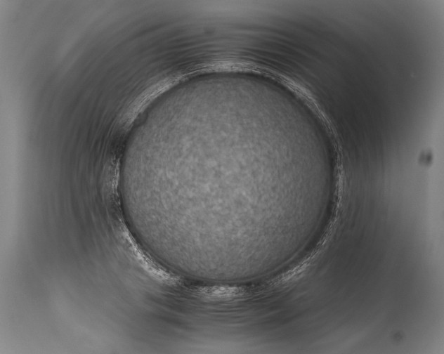 X0000115410841200911171357