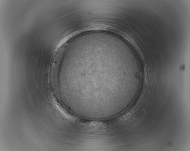 X0000115410842200911171357