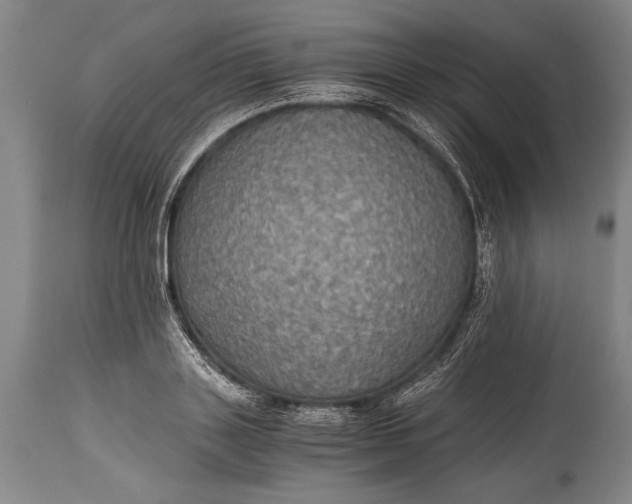 X0000115410843200911171357