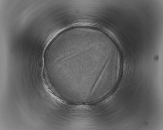 X0000115410844200911171357