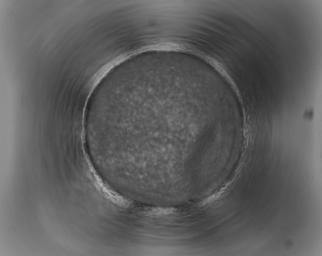 X0000115410845200911171357