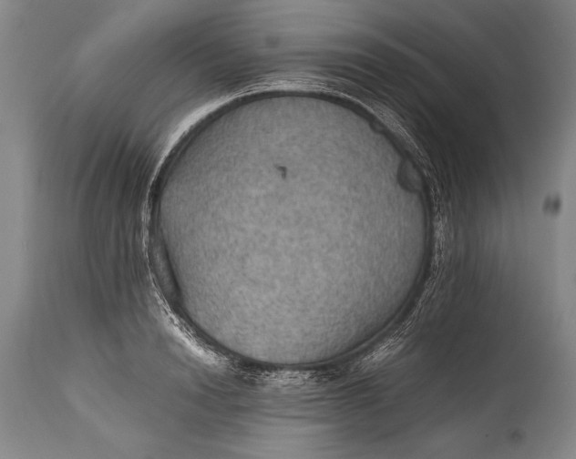 X0000115410846200911171357