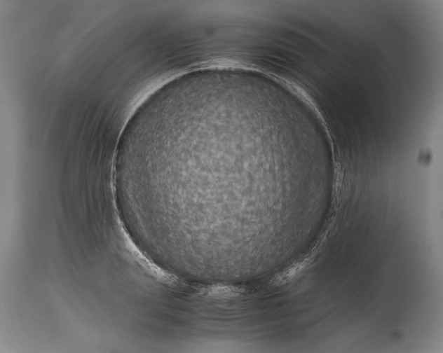 X0000115410847200911171357