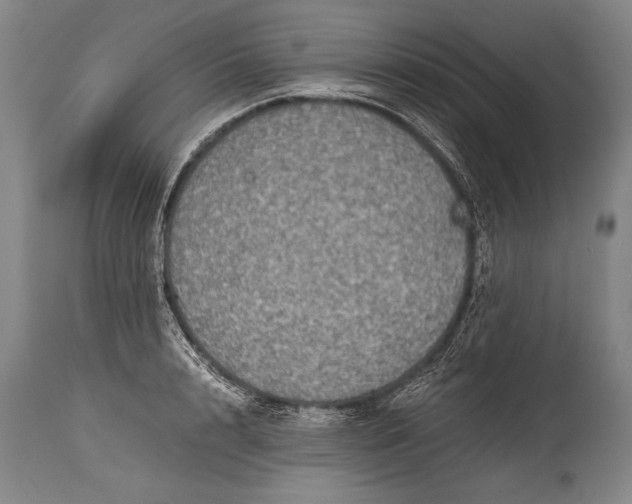 X0000115410848200911171357