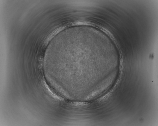 X0000115410849200911171357