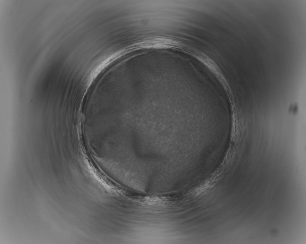 X0000115410850200911171357