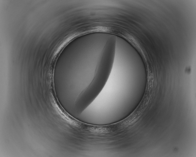 X0000115410851200911171358