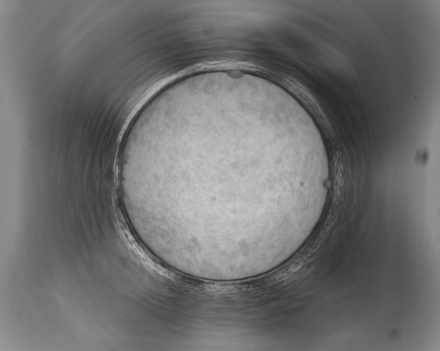X0000115410852200911171358